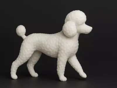 Walking Poodle Dog 3D print model