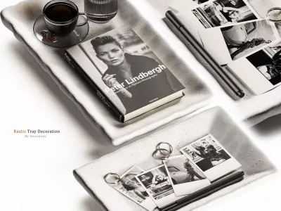 Zara Home  Rustic Tray Decoration Set 3D model