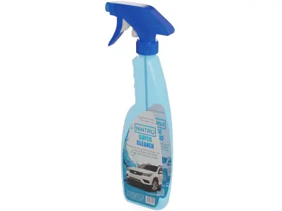 Car cleaning Interior Cleaner 3D model