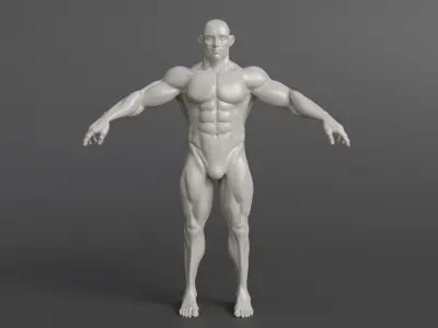 Muscles man 01 Low-poly 3D model