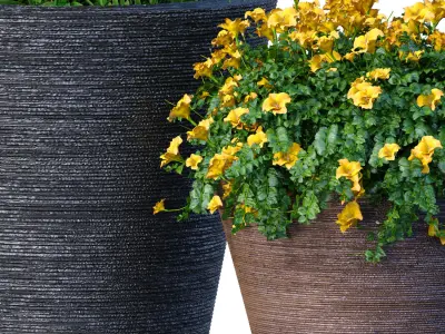 Decorative garden tree shrub flowerbed floor-mounted pot vase  3D model