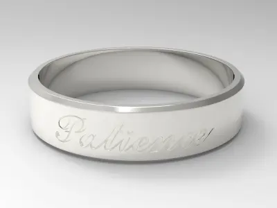Patience Ring Silver 3D print model