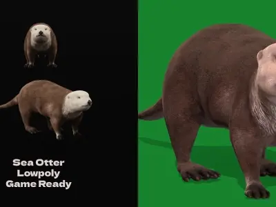Sea Otter Mammal  Low-poly 3D model