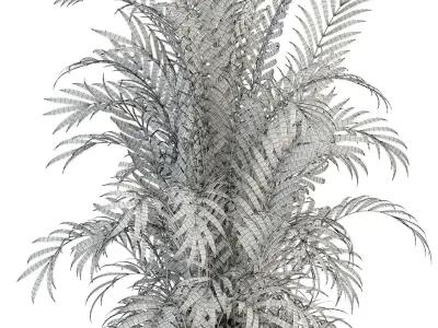 Plants collection 93 3D model