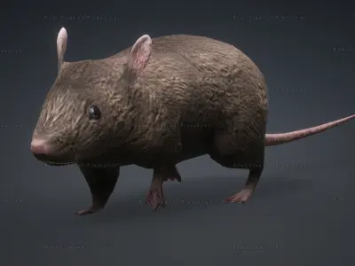MOUSE GRAY RAT ANIMATED Low-poly 3D model