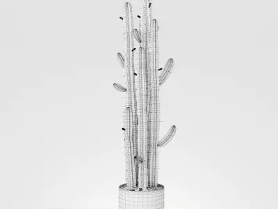 Plant 6 two cactus plants in pot 3D model