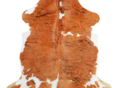 Tricolor Cowhide Rug A26876 3D model