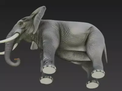 Realistic African Elephant 3D Model High Detail Wildlife  Low-poly 3D model