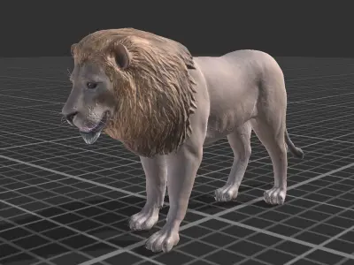 African Lion Low-poly 3D model