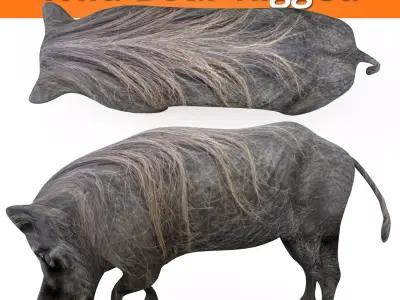 3D Boar Rigged 3D Models game ready Low-poly 3D model