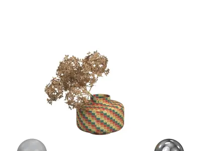 Bouquet Dried Hydrangea 3D model
