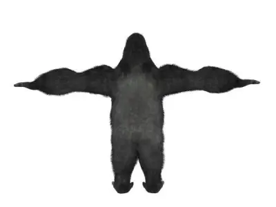 Gorilla Low-poly 3D model