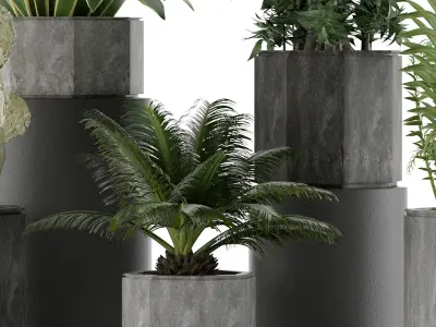 Plants Collection 26 3D model