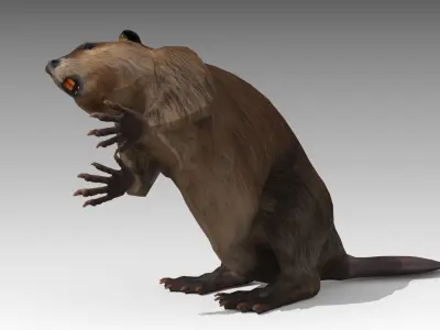 Beaver Low-poly 3D model