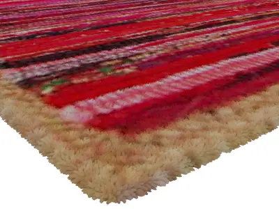 Rug Set  252 3D model