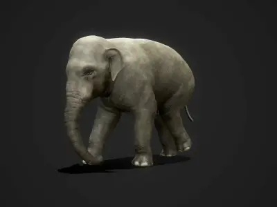 Asian Elephants - GameReady Low-poly 3D model