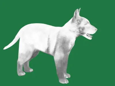 German Shepherd Puppy Dog Low-poly 3D model