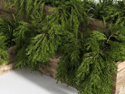 Outdoor Plants Tree in Plant Box Set0 3D model