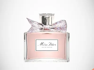 DIOR MISS DIOR 3D model