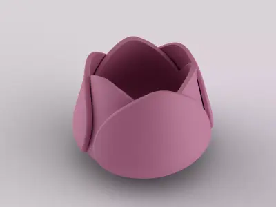Decorative Tulip Succulent 3D print model