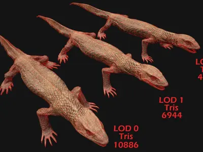 Varan Lizard Reptile Monster Low-poly 3D model