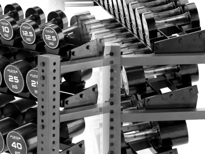 Racks Dumbbell Set 020 3D model