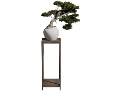 Bonsai Standing Rack 3D model