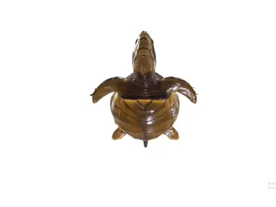 Hawksbill turtle  Low-poly 3D model