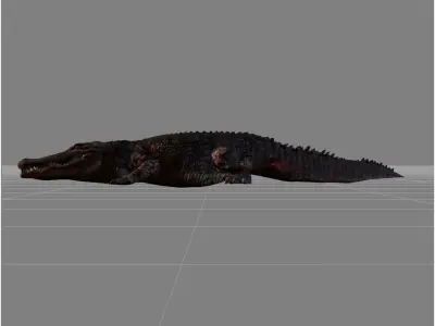 Alligator v1 Low-poly 3D model