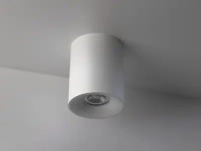 Pendant Lamp Alfa C012CL-01W Maytoni Technical Free 3D model