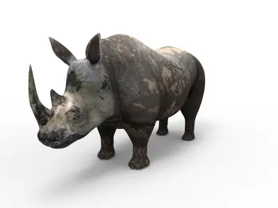 3D Dirty Rhino Model Rigged  game ready  Low-poly 3D model