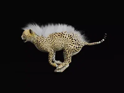 Young Cheetah Animal 3D model