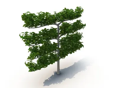 Decorative branch tree 3D model
