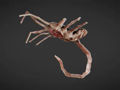 Alien spider Low-poly 3D model