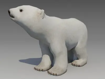 Polar bear cub Low-poly 3D model