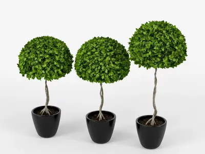 Three plants 3D model
