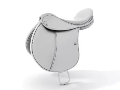 Sleek Saddle model pack Low-poly 3D model