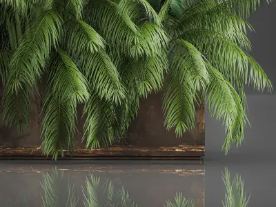 Decorative plants for outdoor and interior in metal pots 1057 3D model