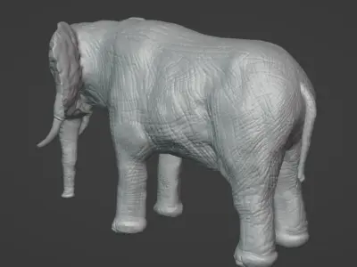 Elephant Model with Blender 3D model