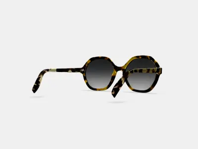 Rachel Sunglasses in Mesquite Tortoise 3D model