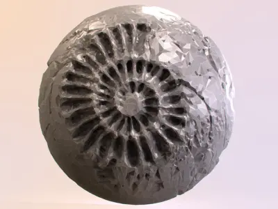Fossil Series - Spiral 3D print model