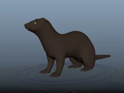 Ferret Rig 3D model