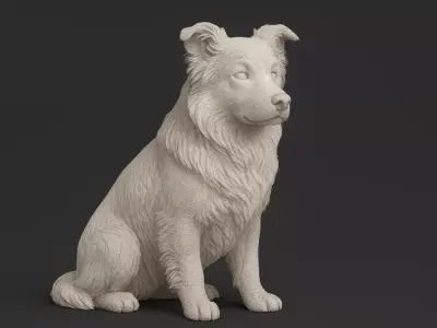 Border Collie 3D print model