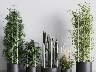 indoor plant bamboo palm cactus grass stand black pot  3D model