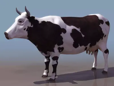 COW 3D MODEL in water Low-poly 3D model
