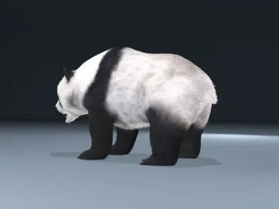 This is a low -polygonal panda Low-poly 3D model