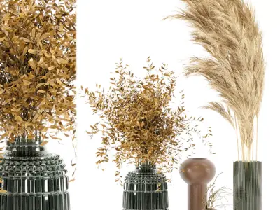 Dry plants 08 - Dried Plantset Pampas whit Glass vase  3D model