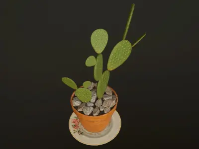 Cactus - PBR Game Ready in pot Low-poly 3D model