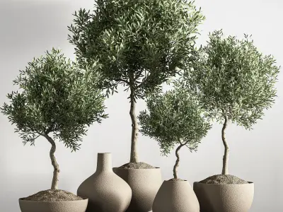 indoor plant stant 46 3D model