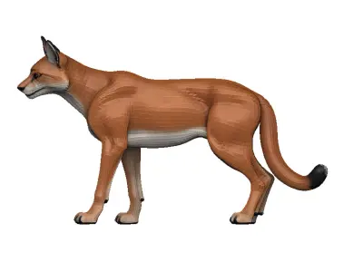 Caracal Low-poly 3D model